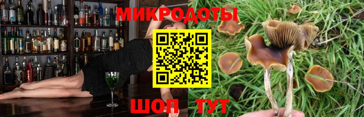 Галлюциногенные грибы мицелий Муром