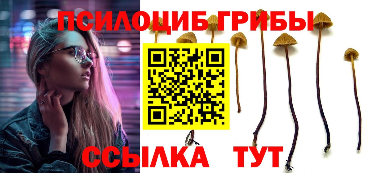 Псилоцибиновые грибы ЛСД  Вход с VPN  закладки  Муром 